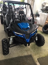 Two Seater Dune Buddy (180cc/330cc)