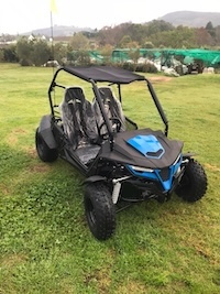 Two Seater Dune Buddy (180cc/330cc)