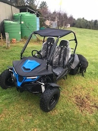 Two Seater Dune Buddy (180cc/330cc)