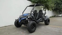 Two Seater Dune Buddy (180cc/330cc)