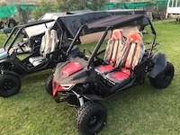 Two Seater Dune Buddy (180cc/330cc)