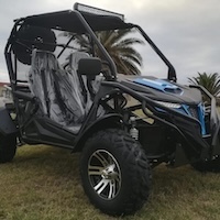 Two Seater Dune Buddy (180cc/330cc)