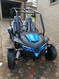 Two Seater Dune Buddy (180cc/330cc)