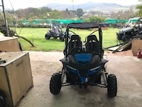 Two Seater Dune Buddy (180cc/330cc)