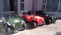 Mini Jeep Willys(150cc)