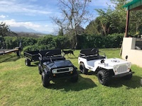 Mini Jeep Willys(150cc)