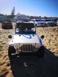 Mini Jeep Willys(150cc)