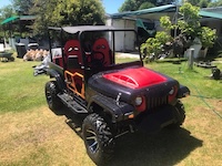 Wrangler 4 Seater 4x2 (330cc)